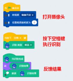 人工智能插件應(yīng)用 賦能大腦識別與軟件開發(fā)新紀元